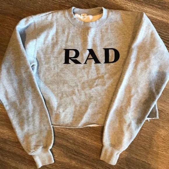 Rad Brandy Melville Grey Cropped Sweatshirt - Picture 3 of 6